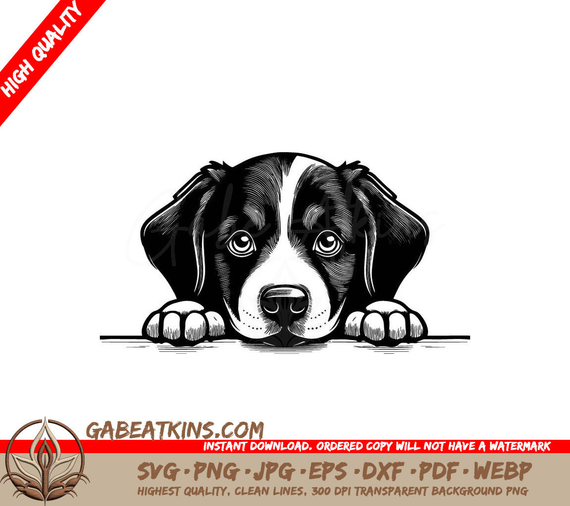 Bernese Mountain Dog Peeking Over Wall -  SVG SVG