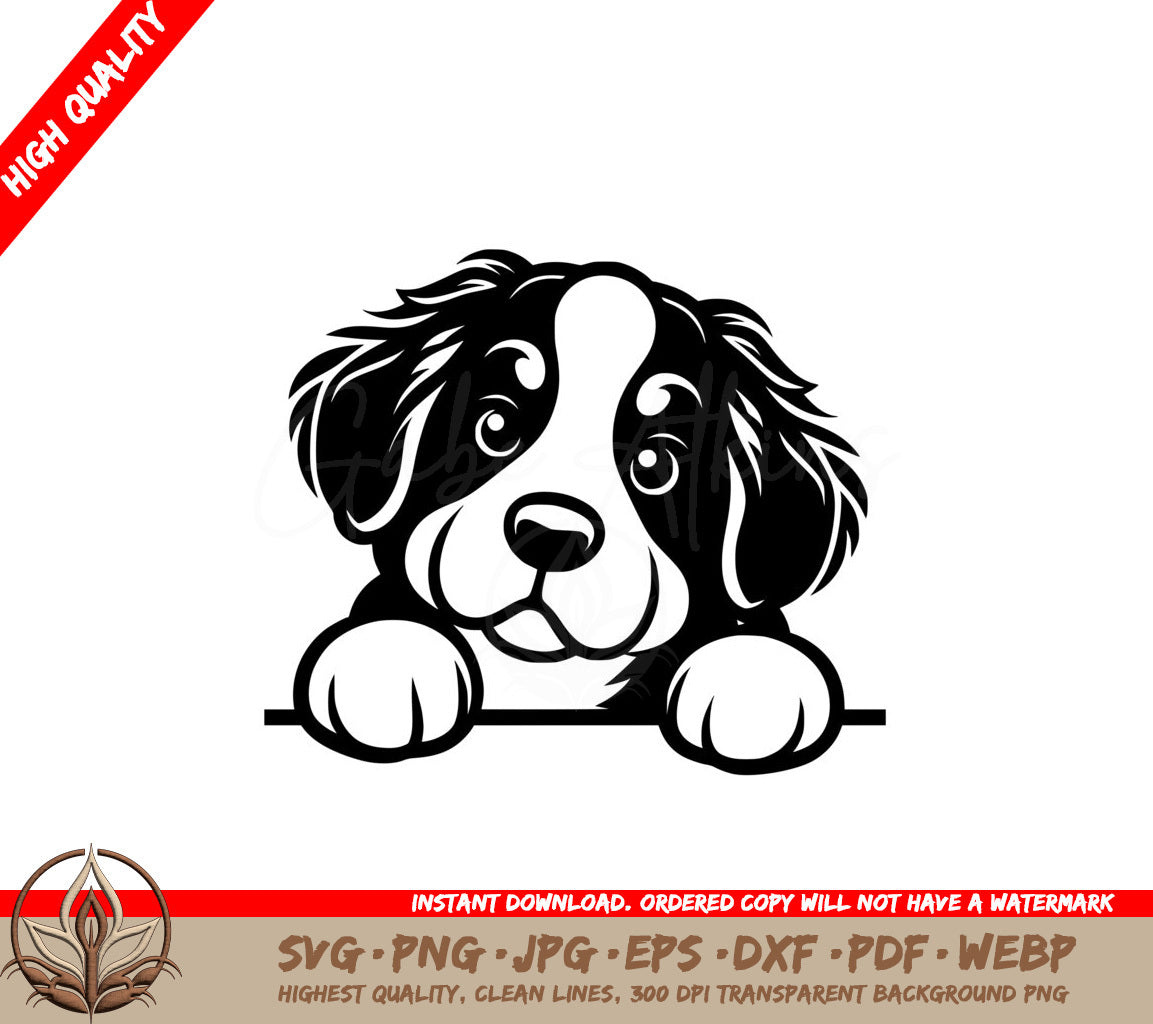 Bernese Mountain Dog Peeking SVG, PNG, JPG, AI, PDF, DXF, EPS and WebP  File 
