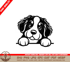 Bernese Mountain Dog Peeking SVG, PNG, JPG, AI, PDF, DXF, EPS and WebP  File 
