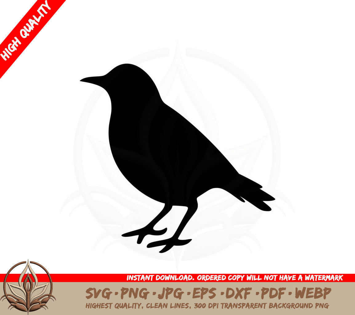 Bird Silhouette SVG PNG JPG AI PDF DXF EPS and WebP - Digital Download 
