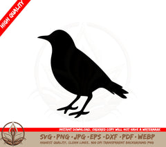 Bird Silhouette SVG PNG JPG AI PDF DXF EPS and WebP - Digital Download 