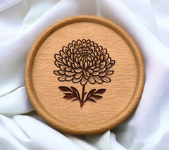 Blooming Chrysanthemum