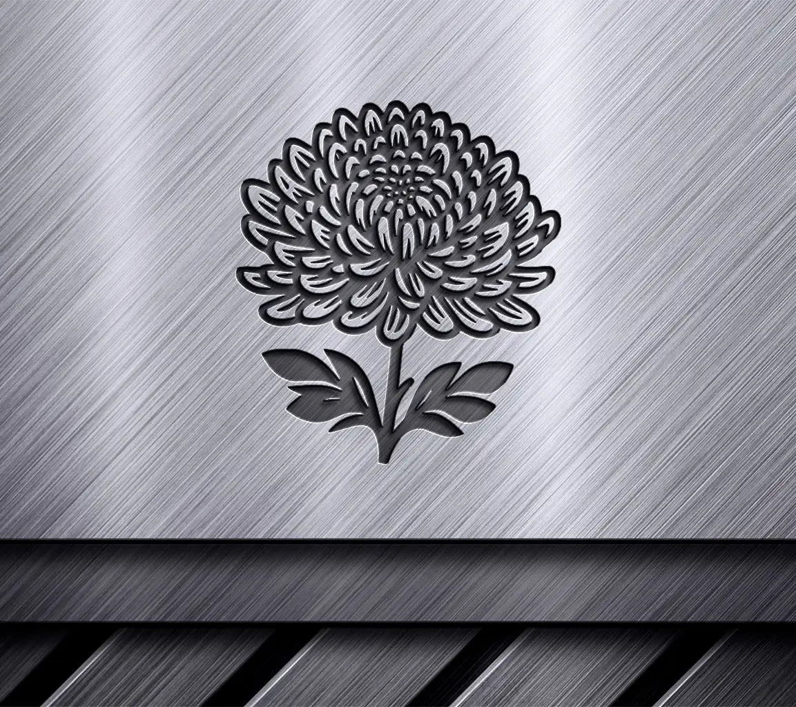 Blooming Chrysanthemum