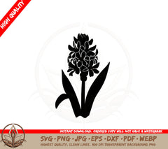 Blooming Hyacinth Flower SVG PNG JPG AI PDF DXF EPS and WebP Digital Download 