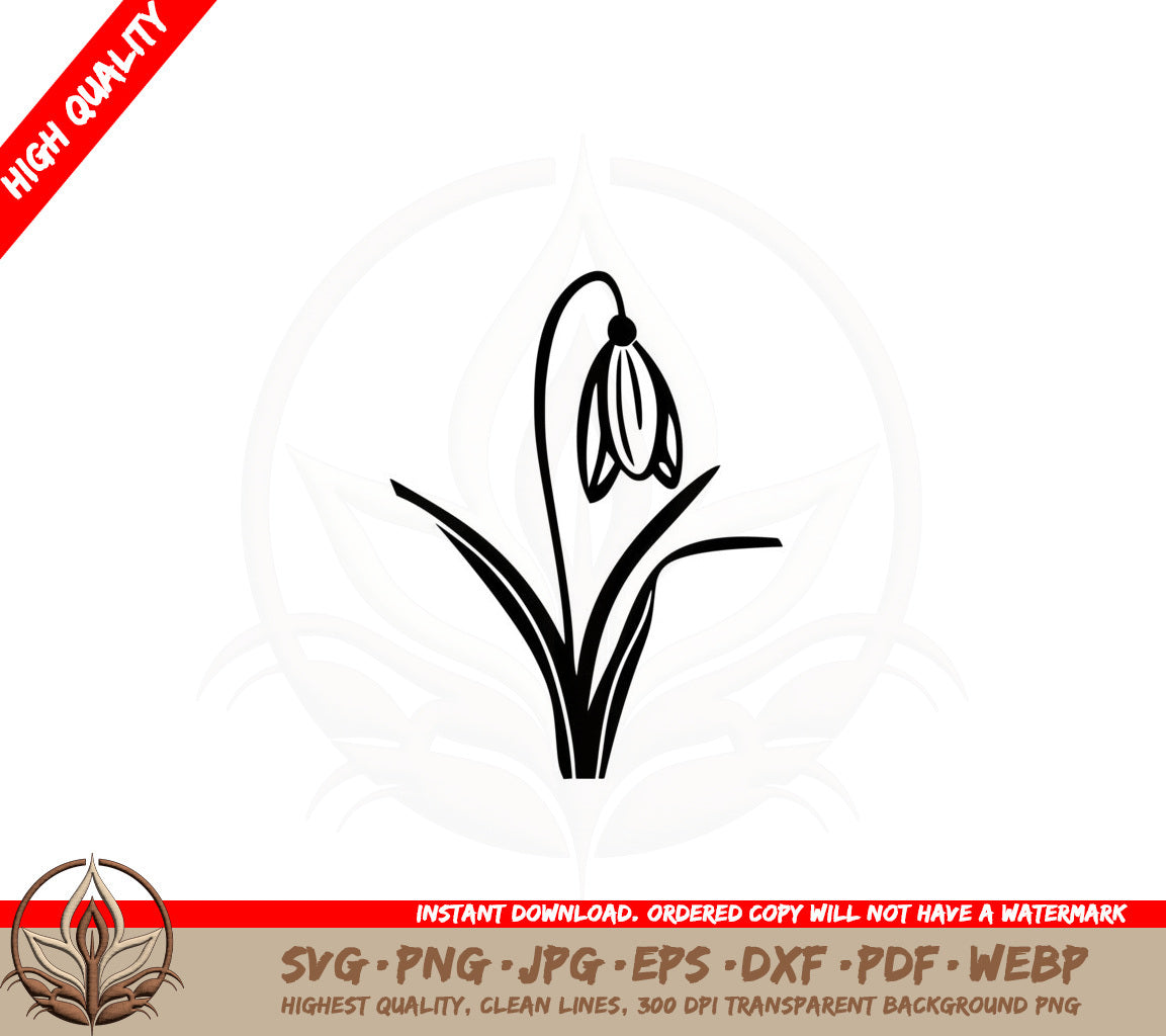 Blossoming Snowdrop SVG PNG JPG AI PDF DXF EPS and WebP Digital File Download 