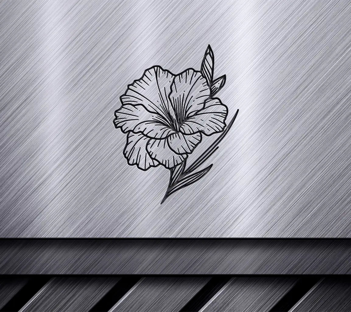 Bold Gladiolus