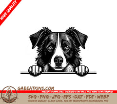  Border Collie Peeking Over Bar SVG SVG