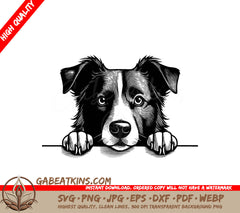 Border Collie Paw Print SVG -  Drawing SVG