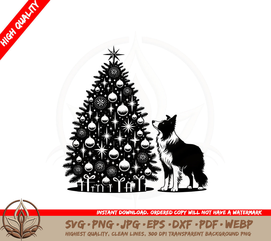 Border Collie Christmas SVG 