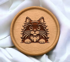 Bushy Whisker Stare