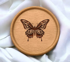 Butterfly Beauty