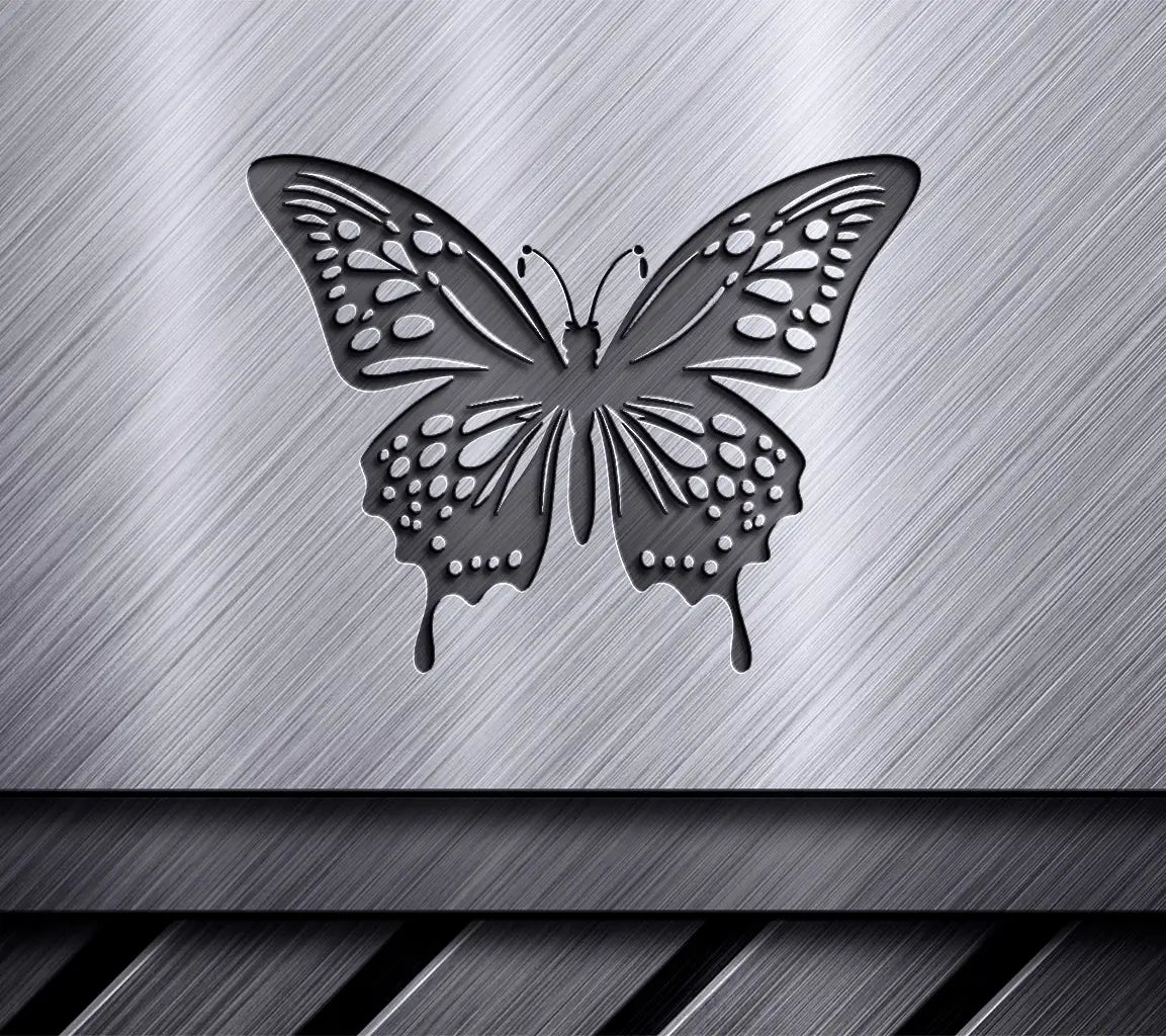 Butterfly Beauty