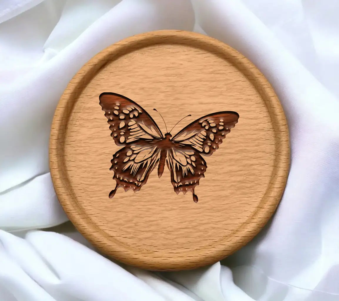 Butterfly Inspiration