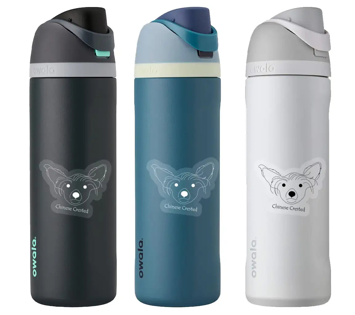 Chinese Crested Dog SVG -  Drawing SVG