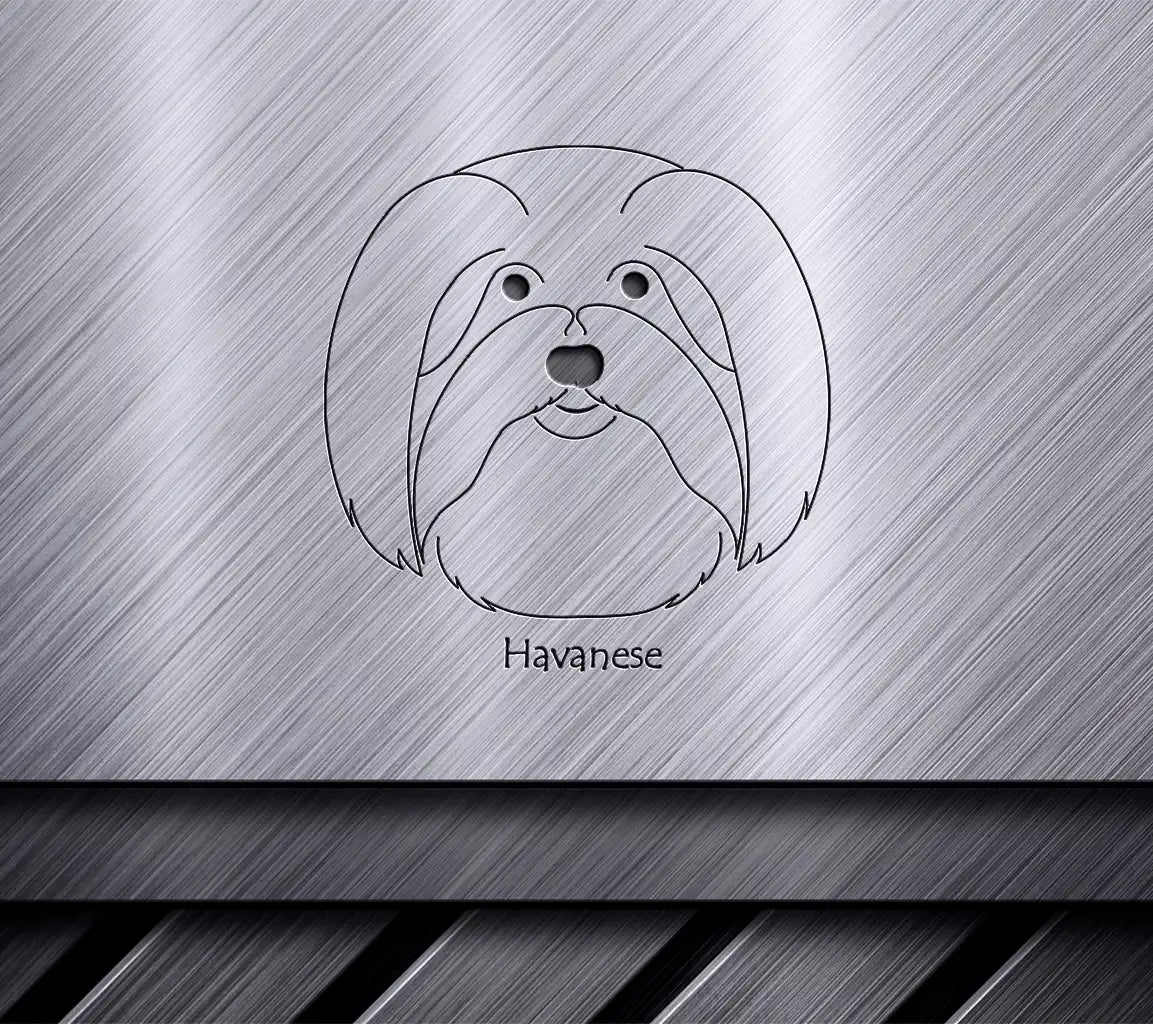 Havanese Dog SVG -  Drawing, Dog Face Portrait SVG