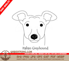 Italian Greyhound Dog Face SVG -  Drawing SVG