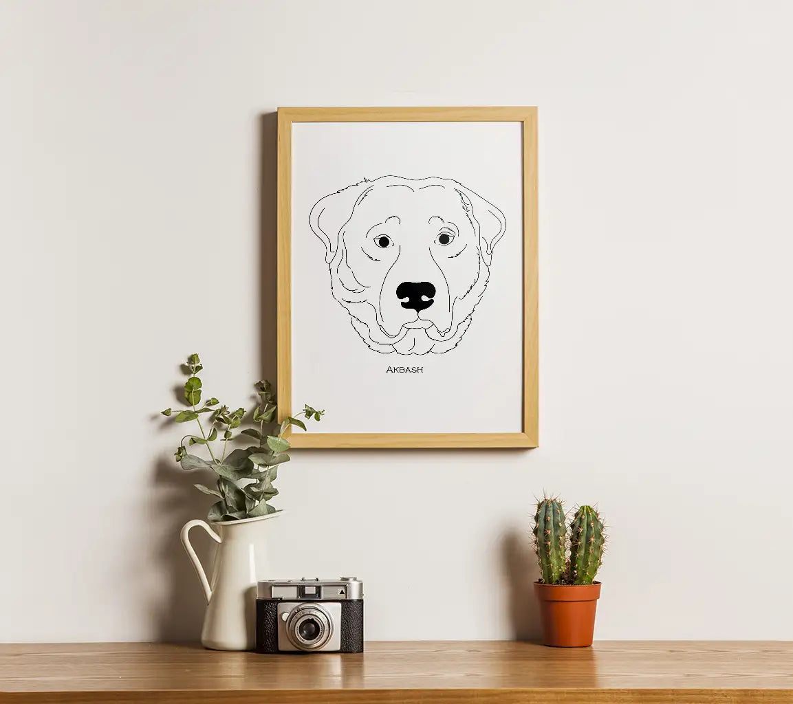 Akbash Dog Breed Outline SVG -  Drawing SVG
