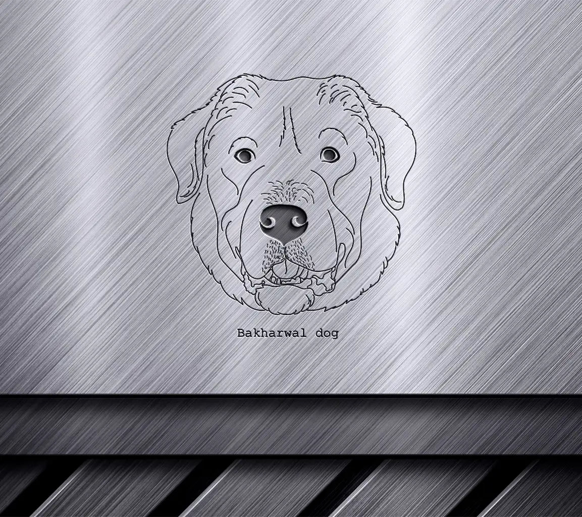  Bakharwal Dog SVG Outline - Digital Download SVG