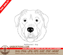  Bakharwal Dog SVG Outline - Digital Download SVG