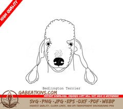 Bedlington Terrier SVG -  Line Drawing SVG
