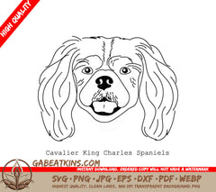 Cavalier King Charles Spaniel SVG -  Outline Drawing SVG