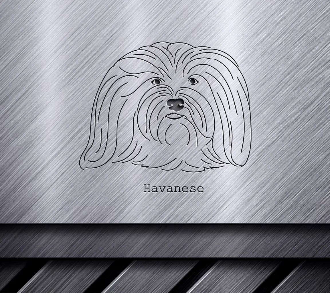 Havanese Dog SVG -  Outline Drawing SVG
