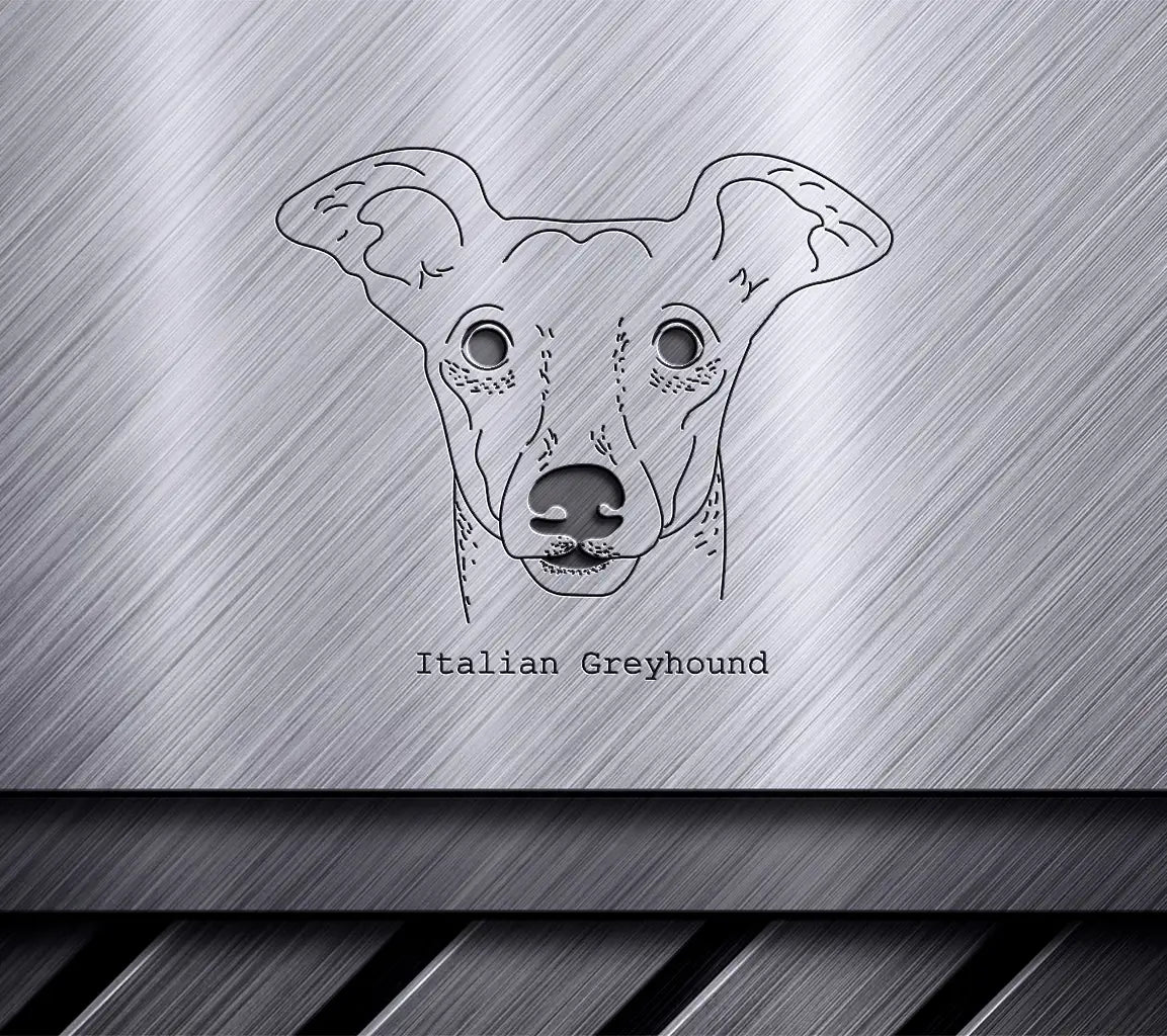 Italian Greyhound Dog SVG -  Outline Drawing SVG