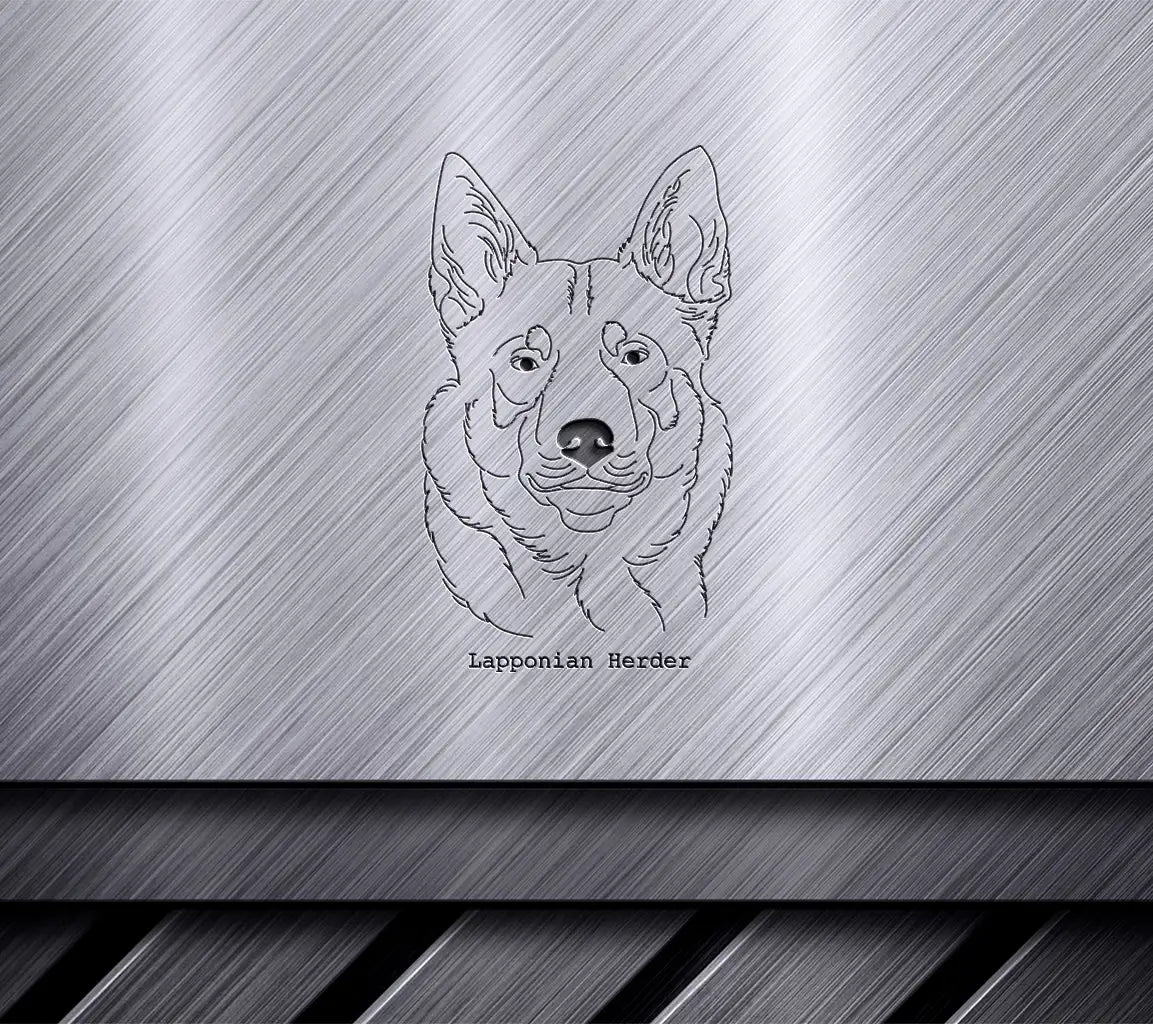 Lapponian Herder Dog SVG -  Line Drawing SVG