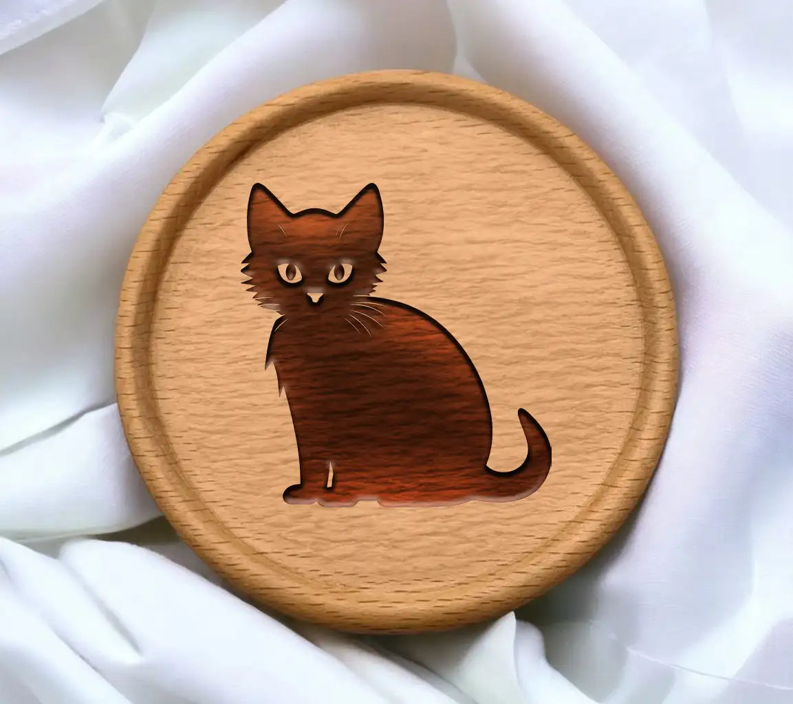 Domestic Cat