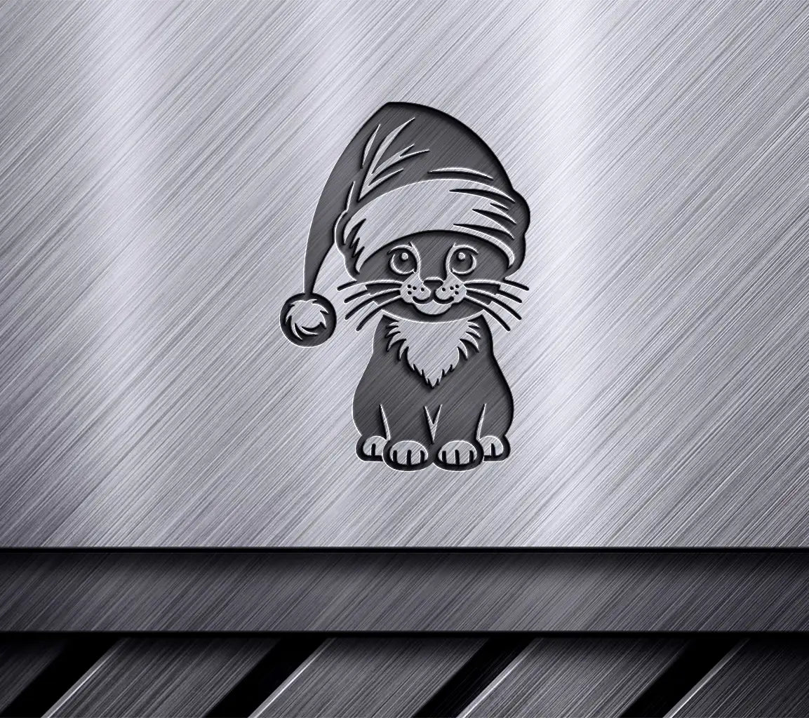 Domestic Shorthair Santa Cat