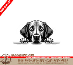  Flat-Coated Retriever Peeking Over Wall SVG SVG