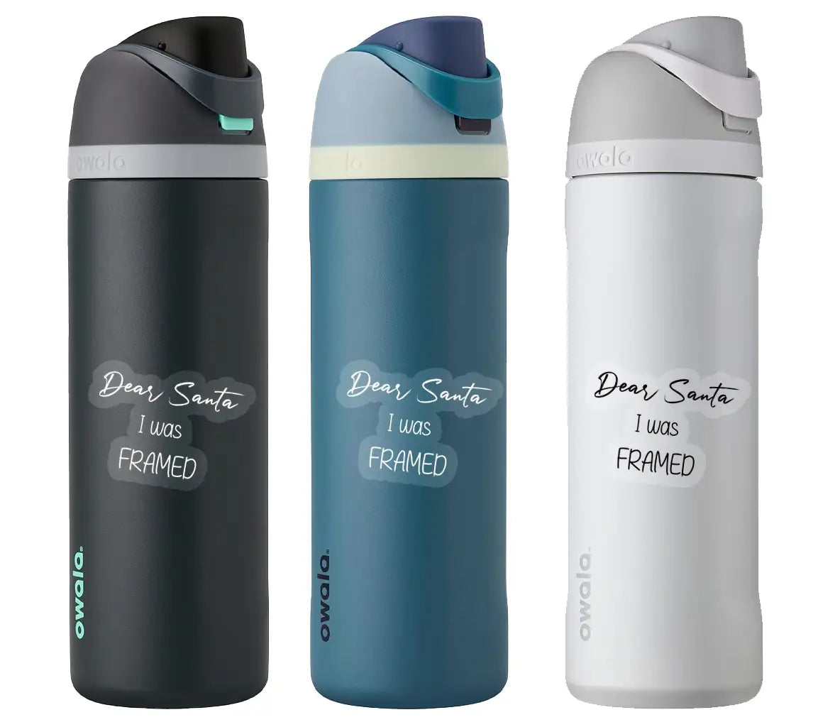 Funny Christmas SVG Quote Bundle Dear Santa I Was Framed SVG