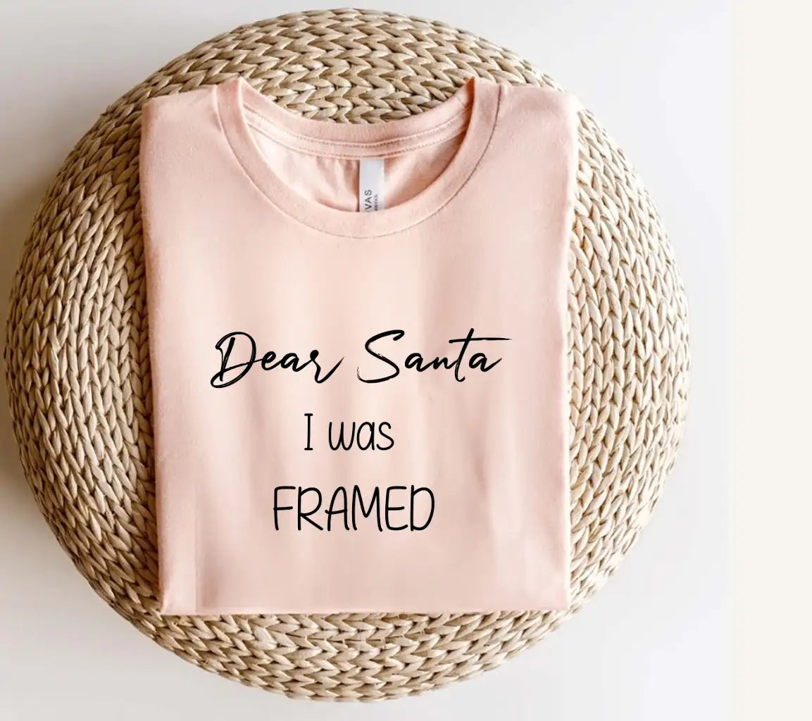 Funny Christmas SVG Quote Bundle Dear Santa I Was Framed SVG