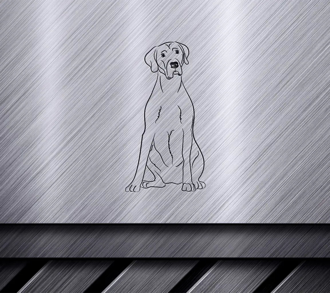 German Shorthaired Pointer Sitting SVG -  Drawing SVG