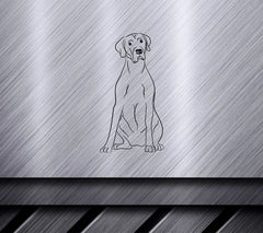 German Shorthaired Pointer Sitting SVG -  Drawing SVG