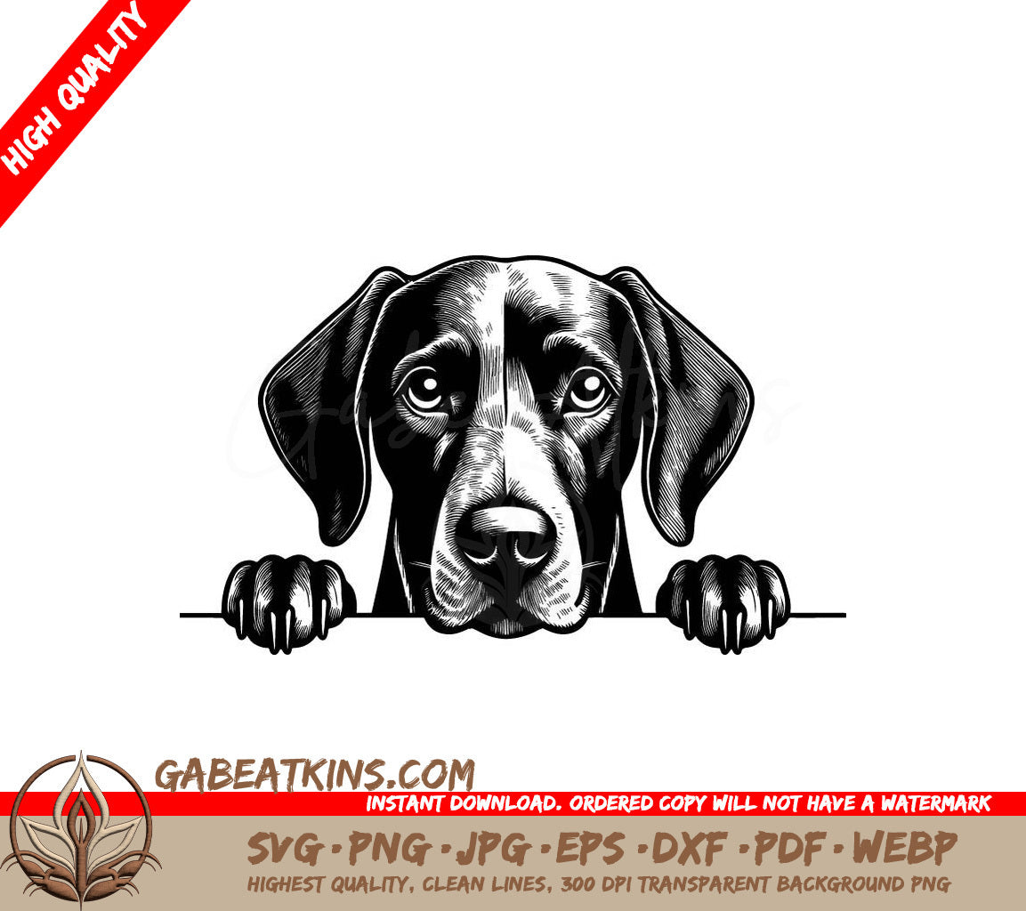 German Shorthaired Pointer Peeking Over Wall SVG -  Drawing SVG