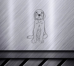 Great Dane Puppy Sitting SVG -  Illustration SVG