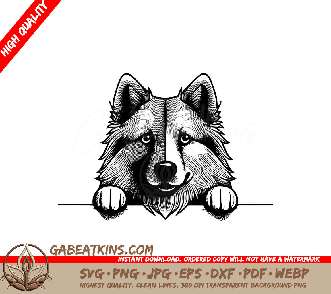  Icelandic Sheepdog Peeking Over Wall SVG SVG