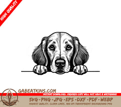  Irish Setter Peeking Over Wall SVG SVG