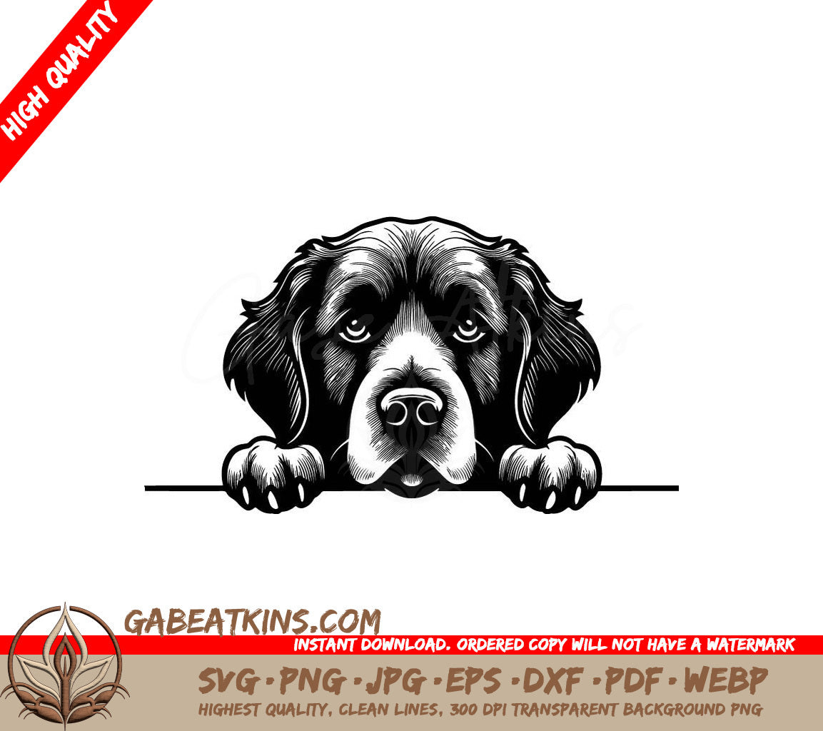  Newfoundland Dog Looking Over Fence SVG SVG