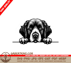  Newfoundland Dog Looking Over Fence SVG SVG