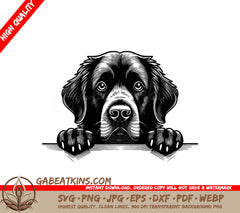  Newfoundland Dog Looking Over Wall SVG SVG