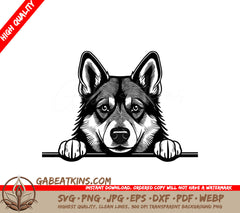  Husky Dog SVG - Norwegian Elkhound with Paws Forward SVG