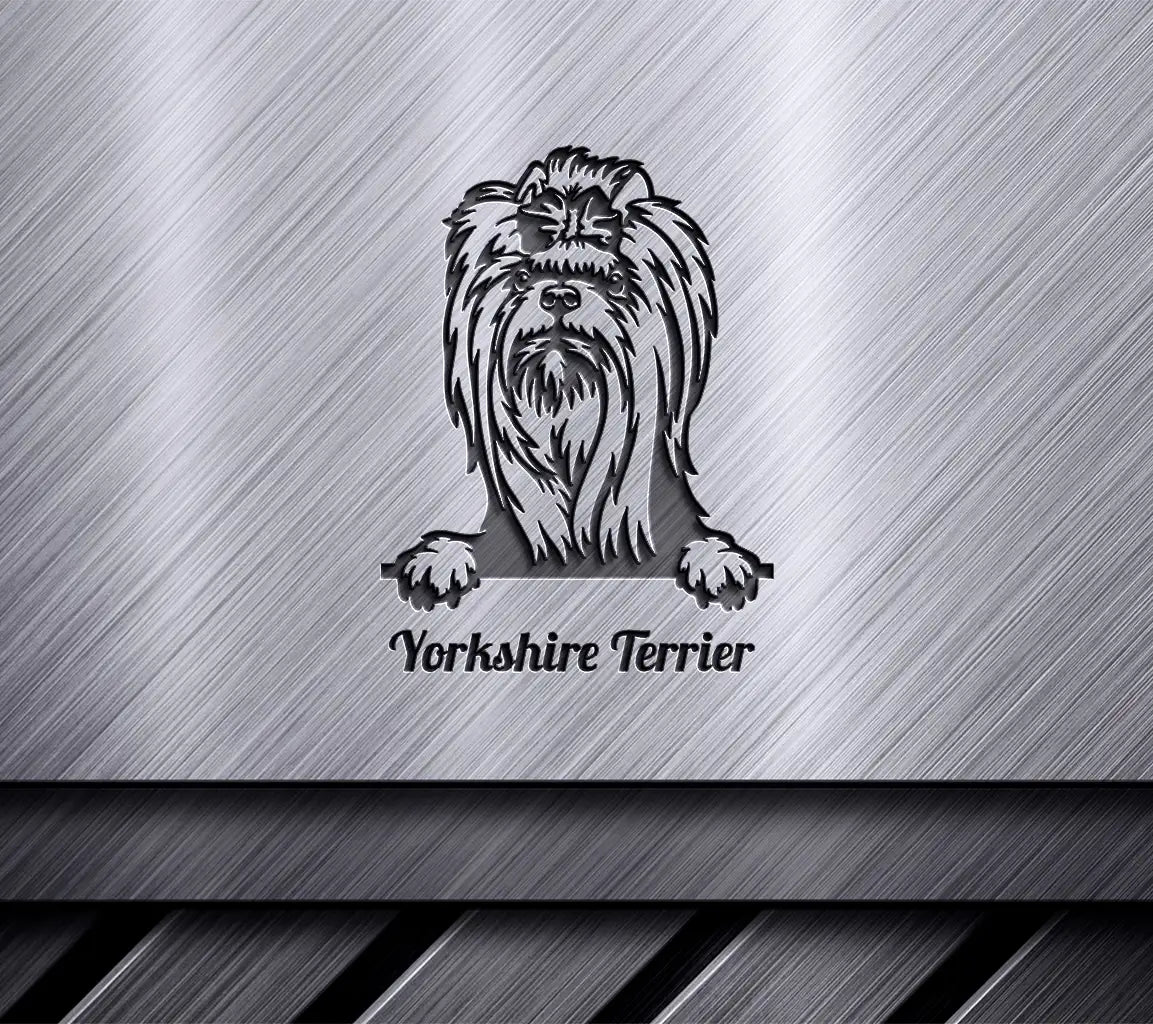 Yorkshire Terrier Peeking Dog SVG SVG