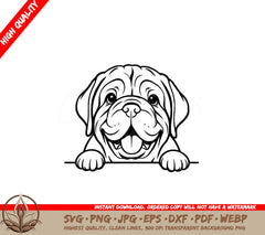 Playful Dogues De Bordeaux Peek SVG 
