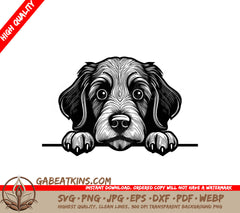 Portuguese Water Dog Face SVG -  Drawing with Paws SVG