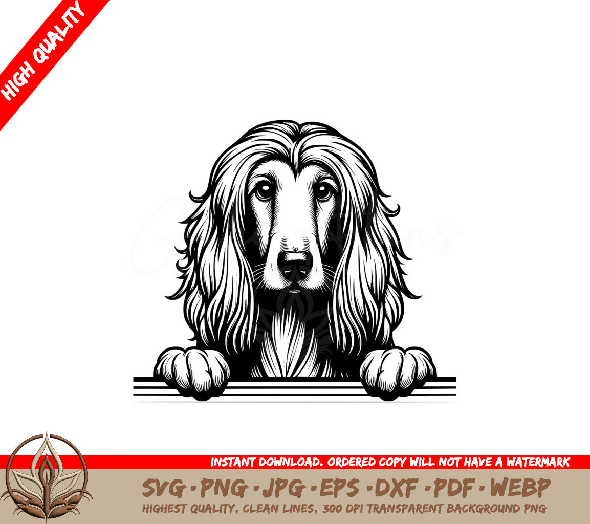 Regal Afghan Hound SVG Cut File Afghan Hound Design Dog SVG Dog Lover Gift Cricut Design Silhouette Cut File Instant Download SVG 
