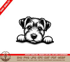 Russell Terrier Soft Stare SVG PNG JPG AI PDF DXF EPS and WebP Digital Download 

