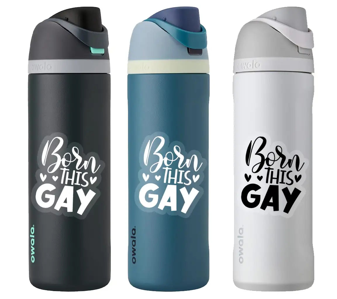 Born This Gay Rainbow SVG SVG