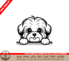 Shaggy Cotons De Tulear SVG 
